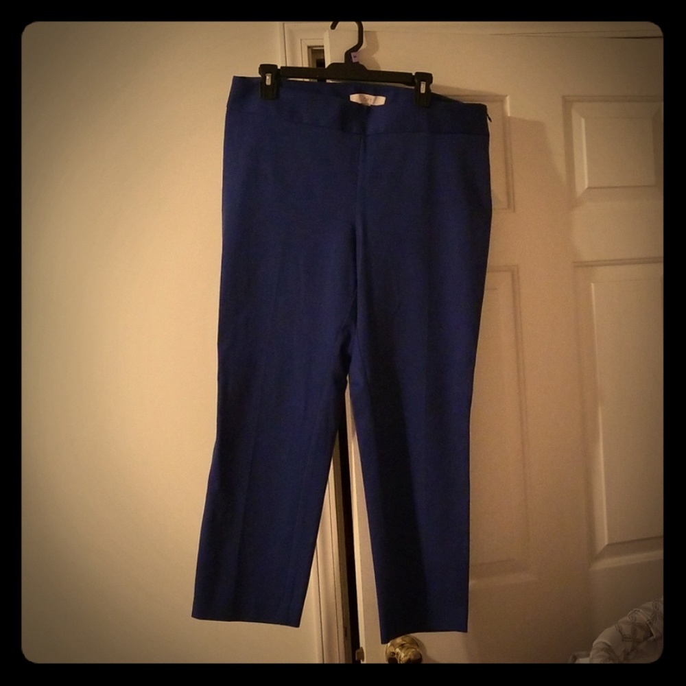 Loft dress pants